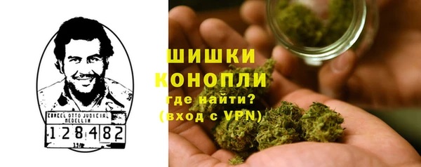 гидропоника Магас
