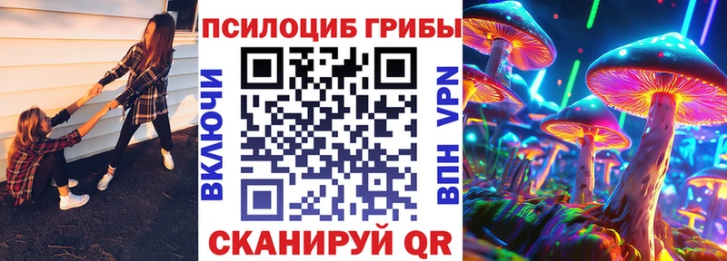 Галлюциногенные грибы Psilocybine cubensis  купить   Магас 